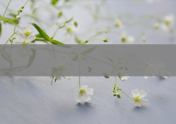 南京雨花石 香烟 批发